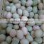 leeho brand water recycling duck and goose egg washing equipment