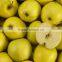 New crop fresh Golden delicious apple with good quality for sale                        
                                                Quality Choice