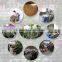 China hotsale fake money tree artificial Pachira