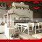 6*9 feet melamine short cycle press