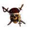 Archaeology Dig and Discover kit toy of Pirate Skull fridge magnets dig kit, 4 assorted, 24pcs per inner