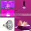XQD cob led grow light bulb led par hydroponic full spectrum