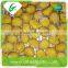 Water wholesale frozen chestnuts starch