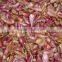 Economical Type Automatic Garlic Skin Removing Peeling Machine Shallot Peeler