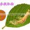 food grade korean red ginseng extract gold ISO, GMP, HACCP, KOSHER, HALAL certificated.