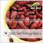 Organic High Quality British Red Kindey Beans,English Red