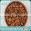 Apricot -Apricot Nuts - Raw Bitter and Sweet Kernels, Apricot Kernel from Own Factory