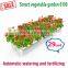 Hot selling cheap kitchenware herb flower pots sky planter