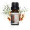 Factory Direct Supply Excellent Quality of Seabuckthorn Essential Oil