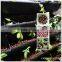 Garden Expanded Clay Pebbles as Growimg Medium for Hydro-culture