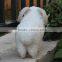 stuffed mini sheep figurines resin animal toy