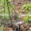 Sprinkler nozzle 180 for irrigation and watering