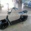 Citycoco/seev/woqu Popular City 2 Wheels off Road Electric Scooter for Sale