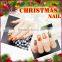 2017 New Design Christmas Fake Nails Nail Art Design