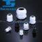 Metal Cable Gland