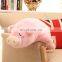 Factory wholesale musical piggy bluetooth plush toys