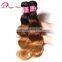 Freya Hair Omber Color Virgin Brazilian Human Hair Weave Bundles