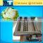 Noodle making machine/commercial noodle making machine/rice noodle making machine