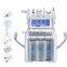New Year promotion 6 In 1 Skin Care Microcurrent Face Lift Anti-wrinkle Machine / Hydro Beauty Facial Machine