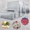 vegetables and fruit quick freezing line machinery instant freezer