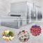 IQF Blast Deep Freeze Industrial Plate Freezer Equipment for sale