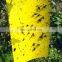 Paper Double Yellow Insect Glue Trap Sticky Paper Trap To Control Flying Plant Insect In Garden