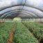 40% Shading to 80% Shading HDPE Garden Netting Black Sun Shade Net for Vegetable