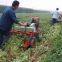 npk CAS 66455263 19-19-19 Chemical Compound Fertilizer