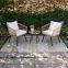 Guangzhou Factory Direct Sale Hana 3-Piece Aluminium Resin Wicker Patio Conversation Set with Linen Cushion