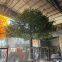 Large Artificial Olive Trees Artificial Decor Simulation Plant Fake Olive Trees for Landscape Project