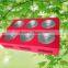 grow lighting for indoor plant names all fruits cob grow light full spectrum