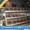 prefab chicken farm/chicken farm building/chicken farm supplies