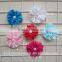 colorful dasiy flower use to decorate dress or just as headwear