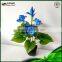 Hot New Products For 2015 Potted Plant