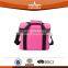 600D Insulated Type Cooler Bag For Food