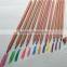 High Quality 12 Colors Plastic Pencils for Kids