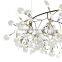 Hot Selling New Modern Heracleum the Big O LED Chandelier