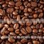 Medium Roasted Robusta Coffee Beans