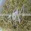 2015 HOT Automatic bean sprouts machine, mung bean sprouts making machine