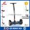 2 Wheel Standing Self Balance Electric Scooter/48v 20ah Battery Power Electric Scooter/750w Electric Scooter