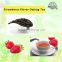Premium Grade Strawberry Flavor Fruit Oolong Tea
