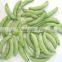 High quality Frozen IQF pea pods for sale