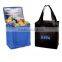 Outdoor Fitness Nonwoven Insulated Lunch Cooler Bag