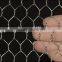 Galvanized and PVC coated chicken wire for garden mesh, hexagonal wire netting