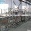 1000-30000LPH Drinking Water Treatment Machine/Plant