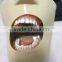 Professional manikins for sale dental simulation senior II