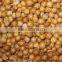 chinese coriander seeds