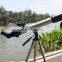 IMAGINE Adjustable Astronomical Telescope for Star Watcher With Tripod China