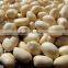 2014 crop ,Blanched Peanut kernels, Long size and Round Size