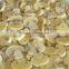 IQF champignon mushroom slice